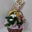 Cesta de Kalanchoes com Ferrero Rocher 